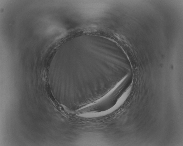 X0000067891445200604271814