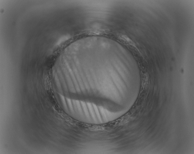 X0000067891446200604271814