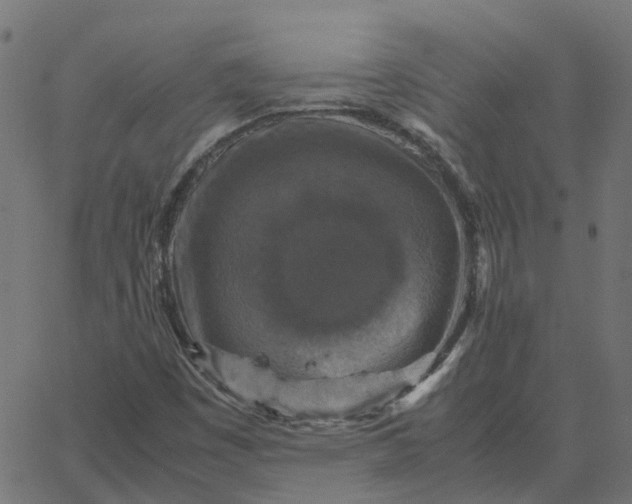 X0000067891449200604271814