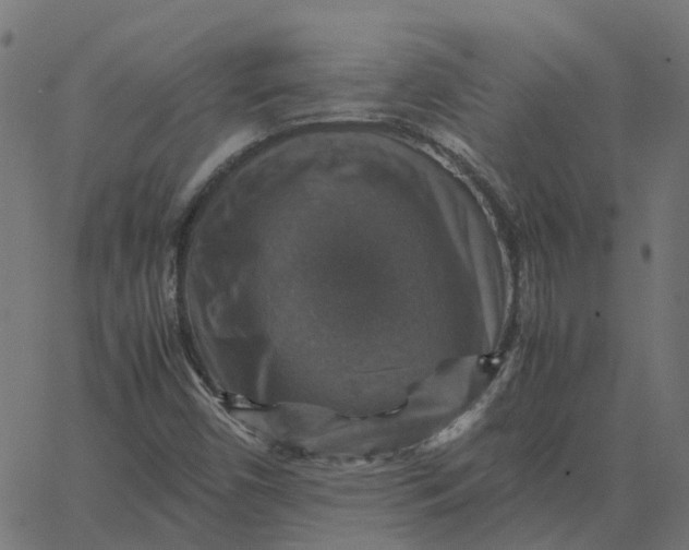 X0000067891450200604271814