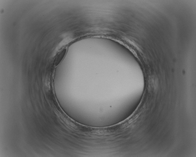 X0000067891451200604271814