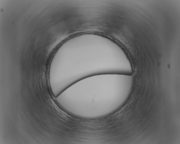 X0000067891452200604271814