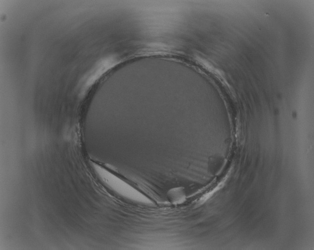 X0000067891453200604271814