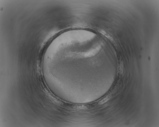 X0000067891454200604271814