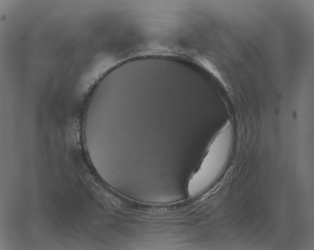 X0000067891455200604271814