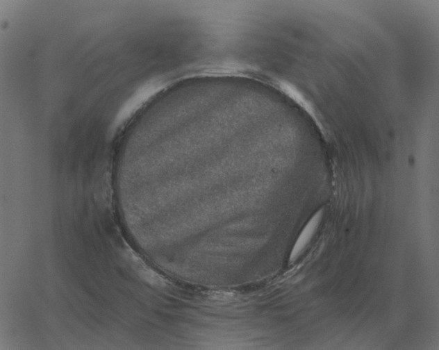 X0000067891456200604271814