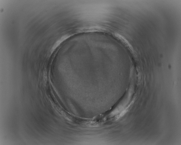 X0000067891457200604271814