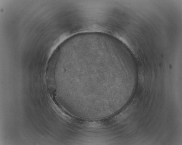 X0000067891460200604271814