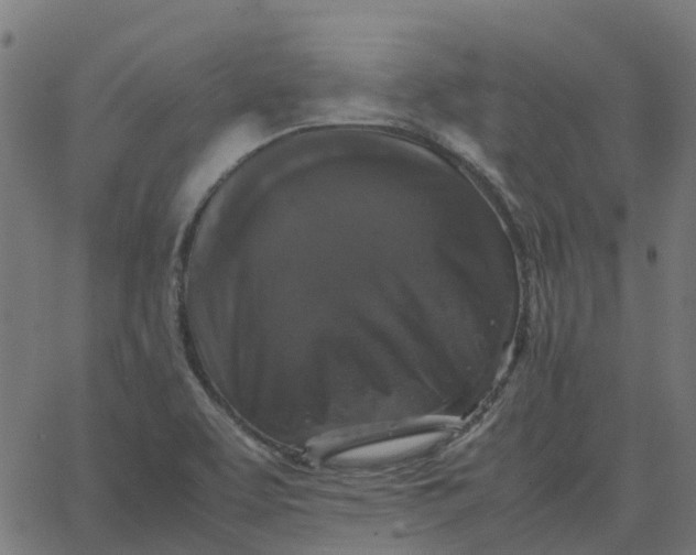 X0000067891463200604271814