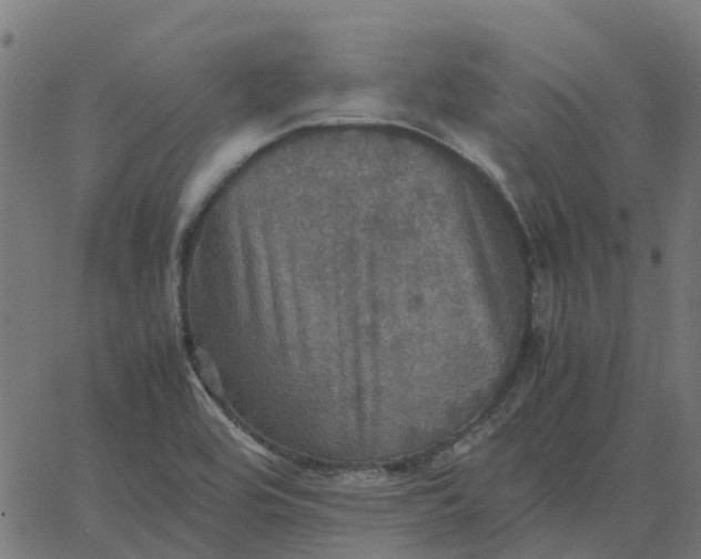 X0000067891464200604271814