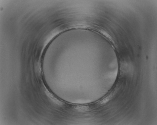 X0000067891466200604271814