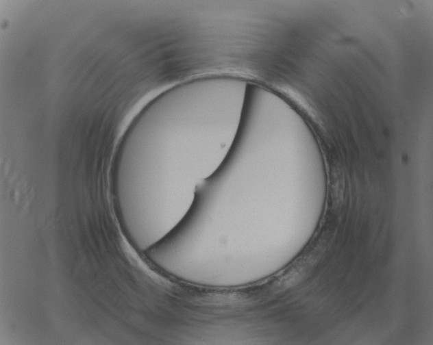 X0000067891468200604271814