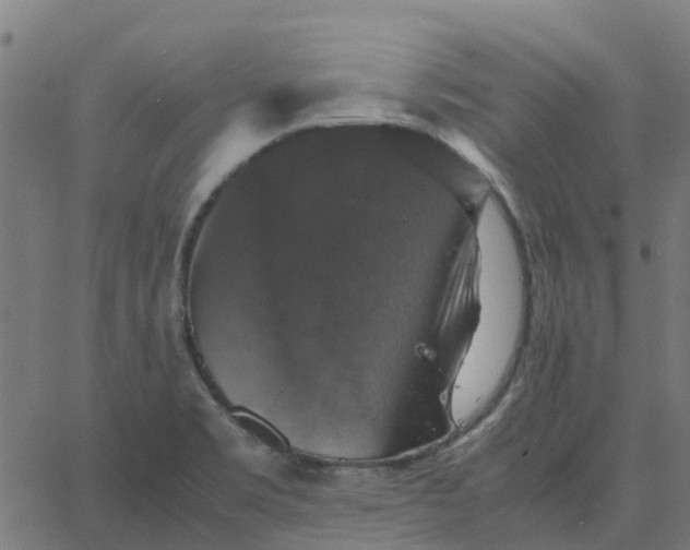 X0000067891469200604271814