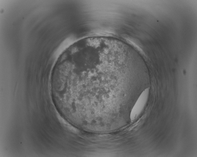 X0000067891471200604271814