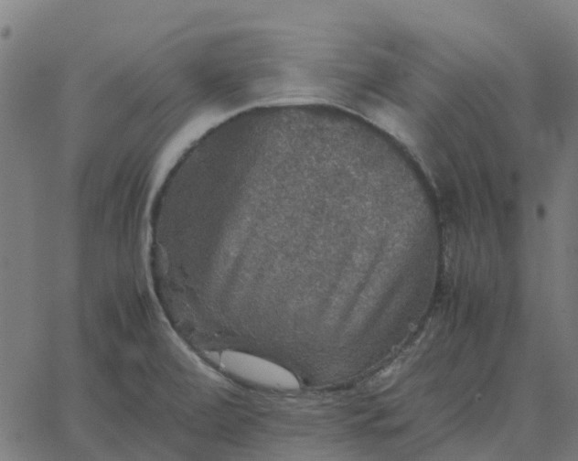 X0000067891472200604271814