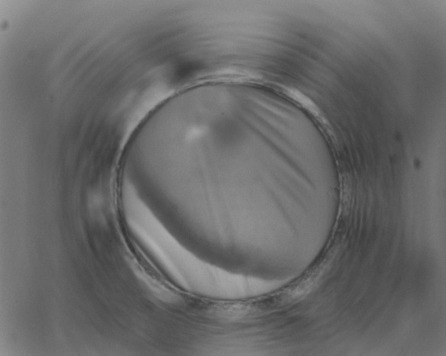 X0000067891474200604271814