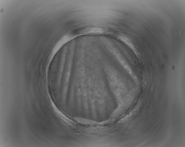 X0000067891475200604271814