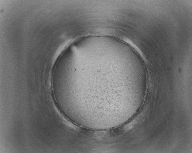 X0000067891477200604271814