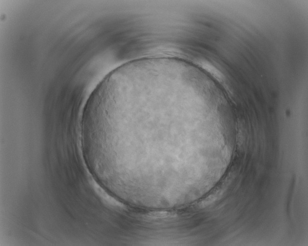 X0000067891478200604271814