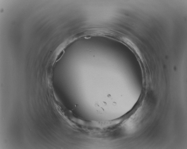 X0000067891481200604271814