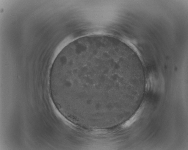 X0000067891483200604271814