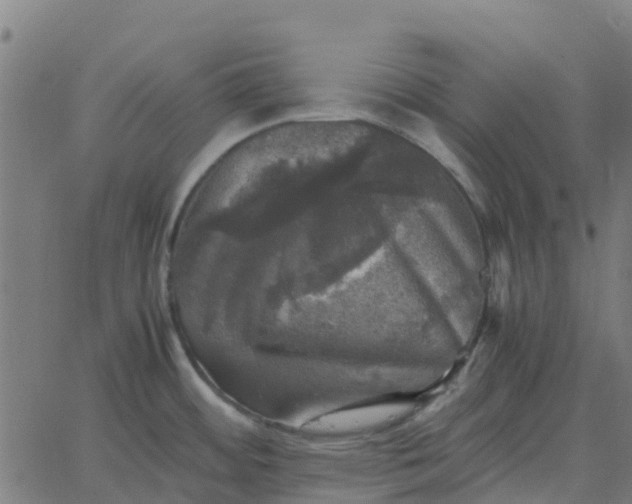 X0000067891484200604271814