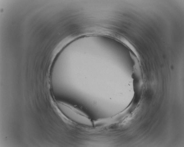 X0000067891485200604271814