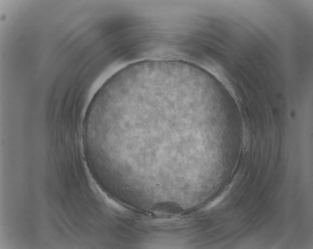 X0000067891486200604271814