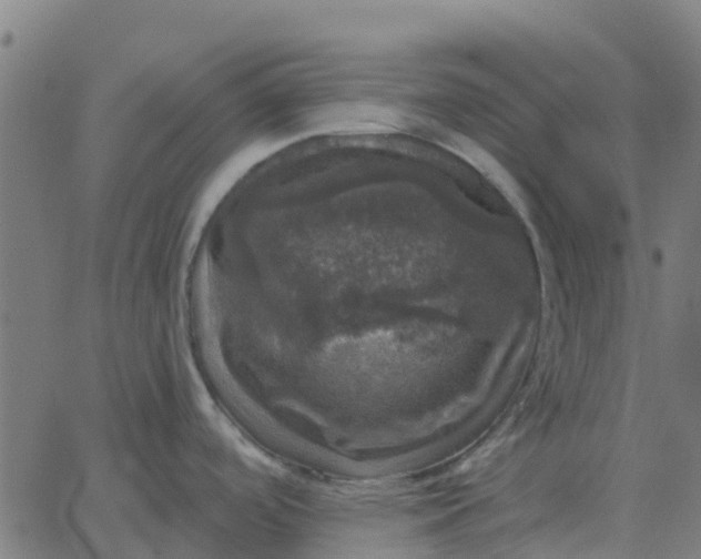 X0000067891488200604271814