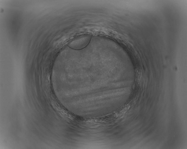 X0000067891489200604271813