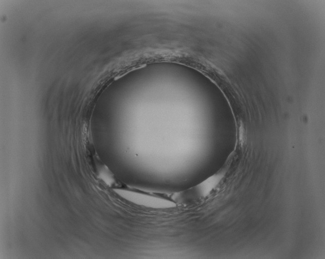 X0000067891492200604271813