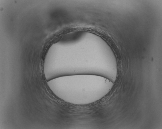 X0000067891493200604271813