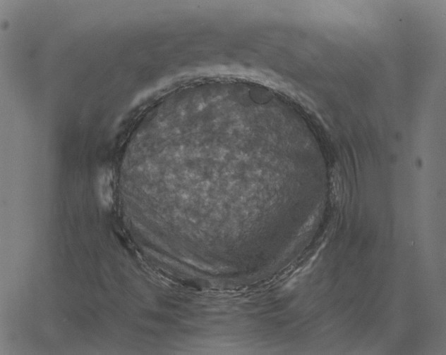 X0000067891494200604271813