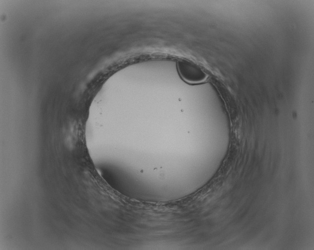 X0000067891495200604271813