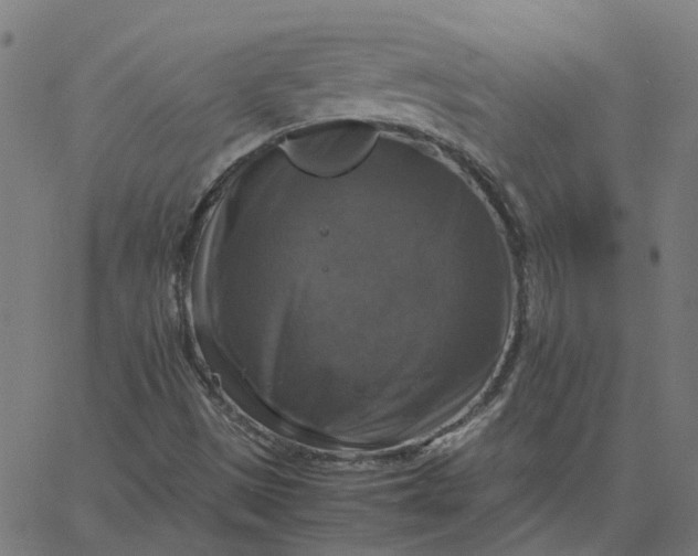 X0000067891497200604271813