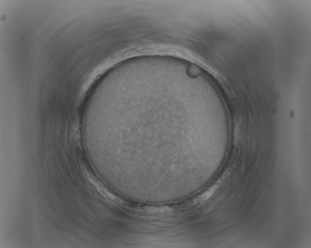 X0000067891498200604271813