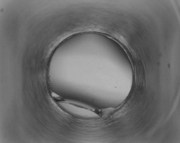 X0000067891500200604271813