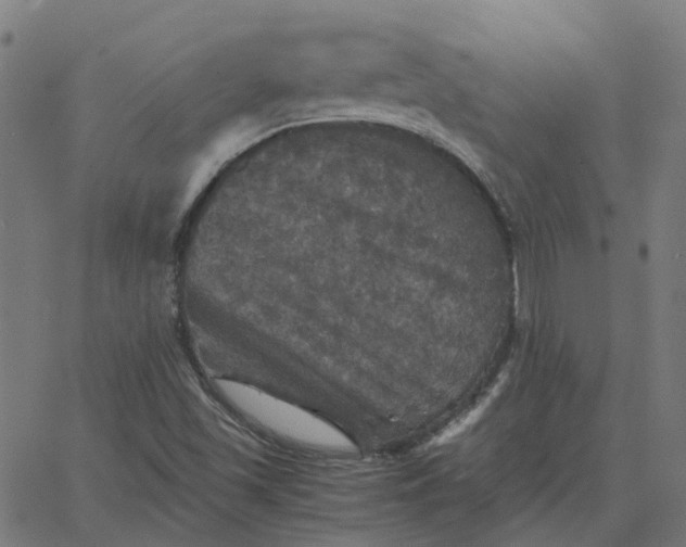 X0000067891501200604271813