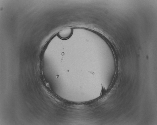 X0000067891502200604271813