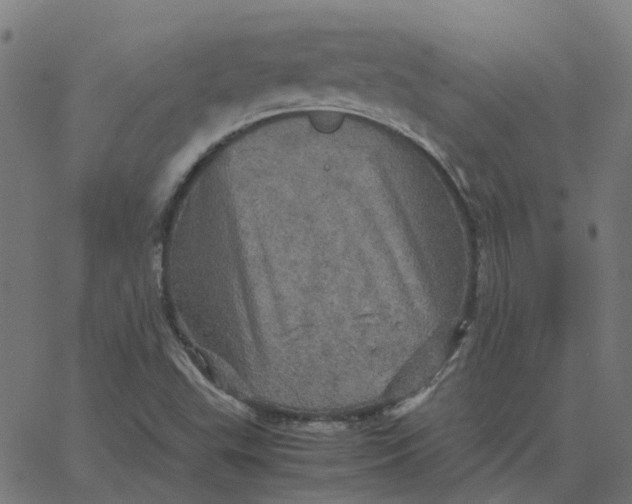 X0000067891503200604271813