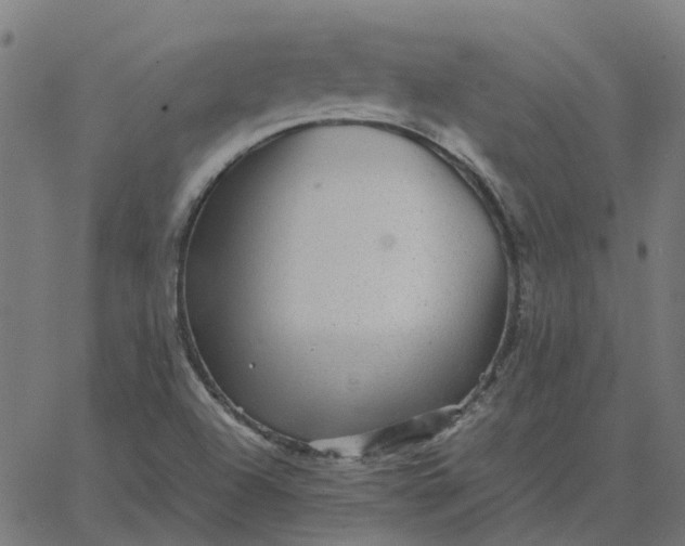 X0000067891504200604271813