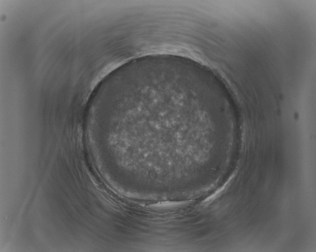 X0000067891505200604271813