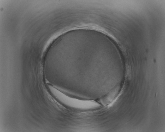 X0000067891506200604271813