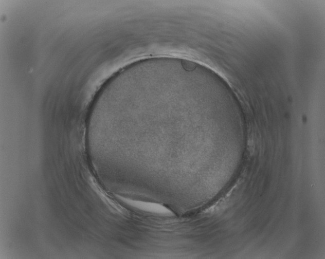 X0000067891507200604271813