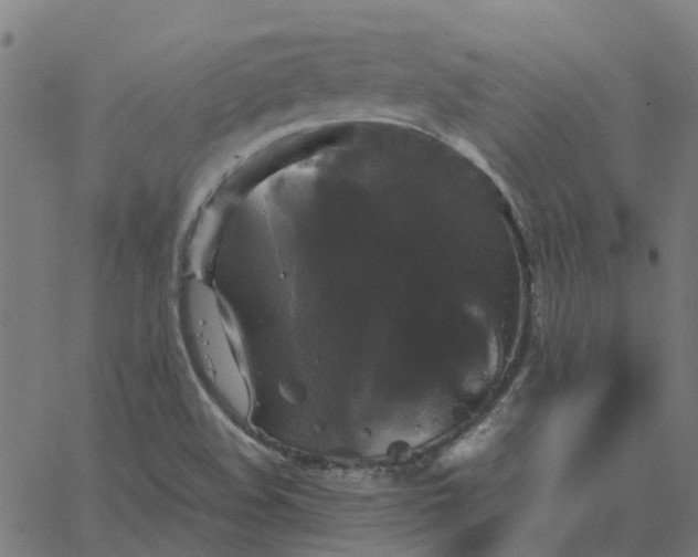 X0000067891508200604271813