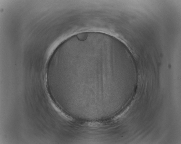 X0000067891511200604271813