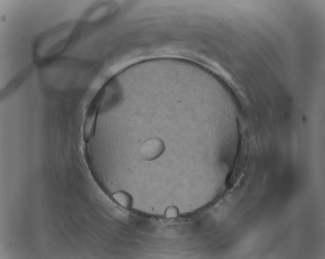 X0000067891512200604271813