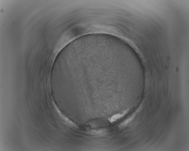 X0000067891513200604271813