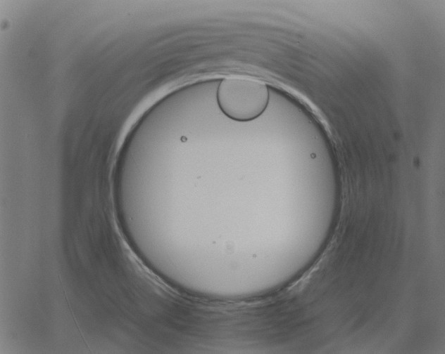 X0000067891514200604271813