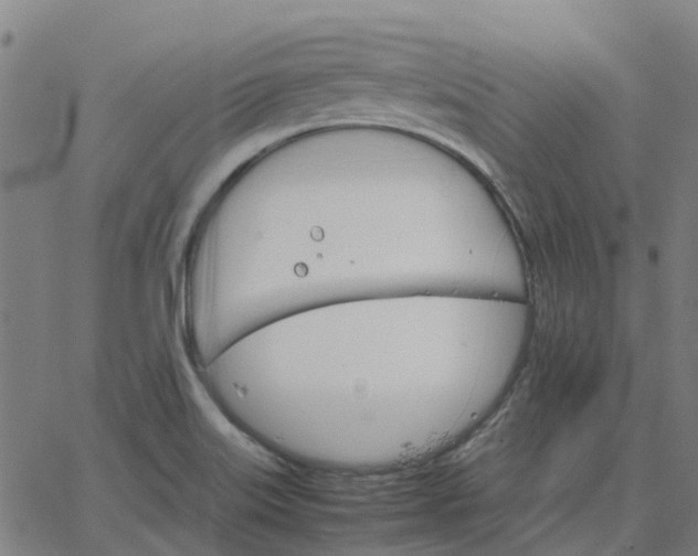 X0000067891515200604271813